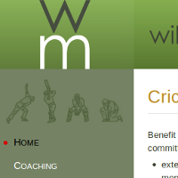 Willowmasters home page